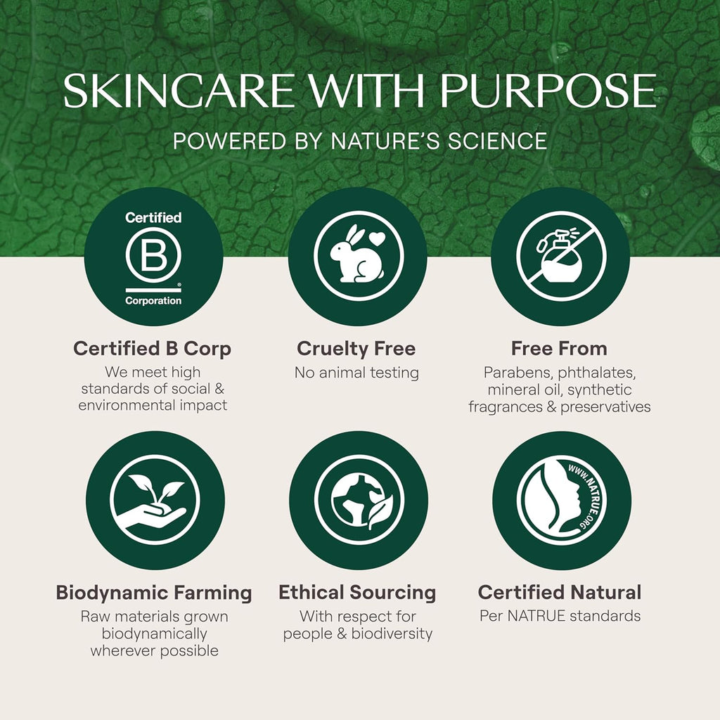 - Skin Food Light Moisturizing Cream 3-Pack - Fast-Absorbing, Ultra-Hydrating Formula with Sunflower Oil and Pansy Extract